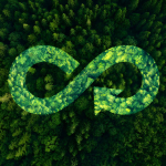 Rifiuti che diventano valore: l'Italia accelera sull'economia circolare a Palazzo Valentini